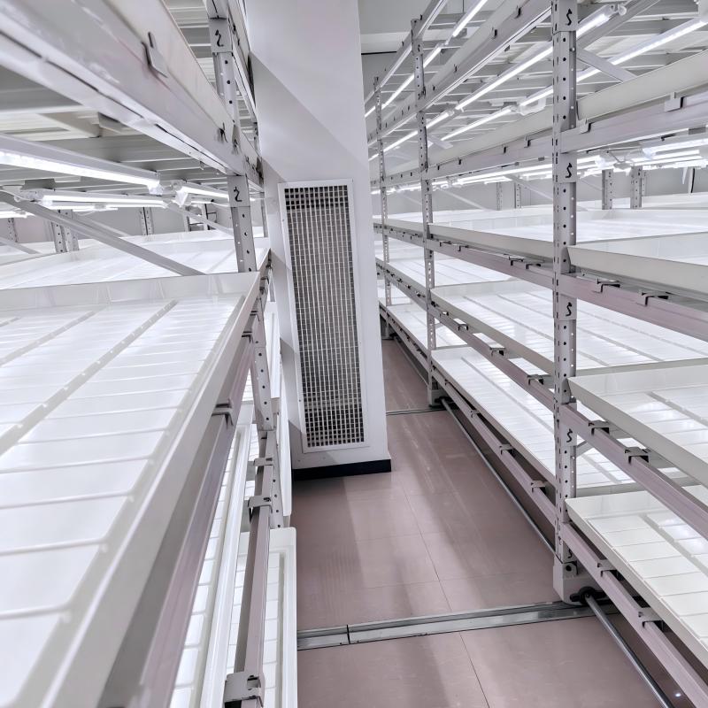 productcate-800-800 productcate-800-800