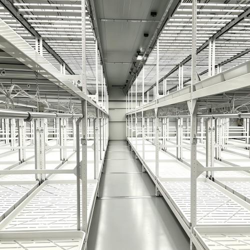 productcate-500-500 productcate-500-500