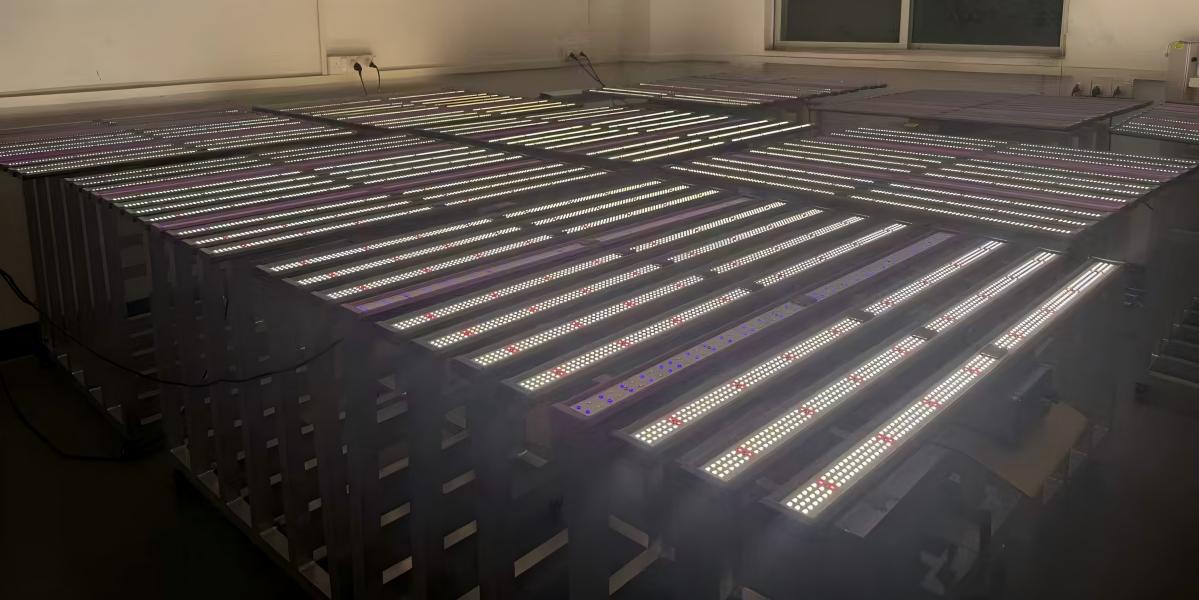 12 bars grow lights.jpg