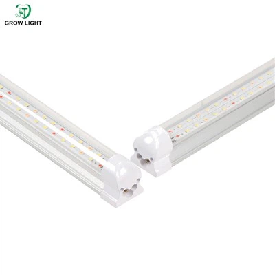 Ap grandi legim ak ki ap dirije T8 tib