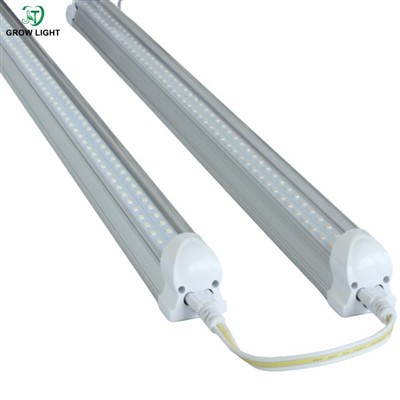 Limyè plant idwoponik